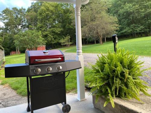 a bbq grill with a redenser at Historic Sears River Home (Main Level) on 10 Acres 