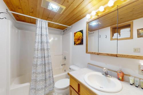 a bathroom with a sink and a toilet and a tub at Christina Cabin in Girdwood