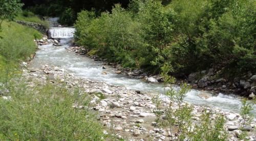 a river with rocks and trees on the side of it at Apartment in Schmirn - Tirol 717 in Schmirn