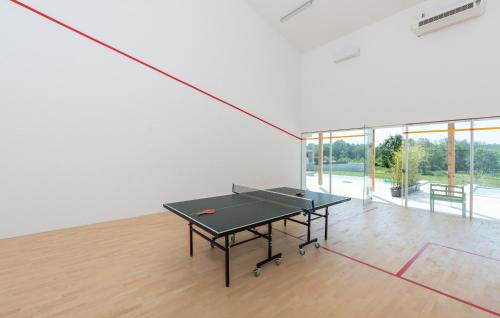 a ping pong table in a room with windows at Green Zebra in Fuškulin