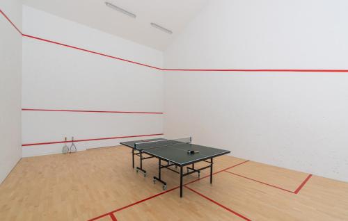 a ping pong table in the middle of a room at Green Zebra in Fuškulin