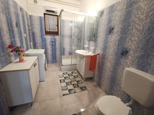 y baño con aseo, lavabo y ducha. en Apartment Feruco, en Kršan