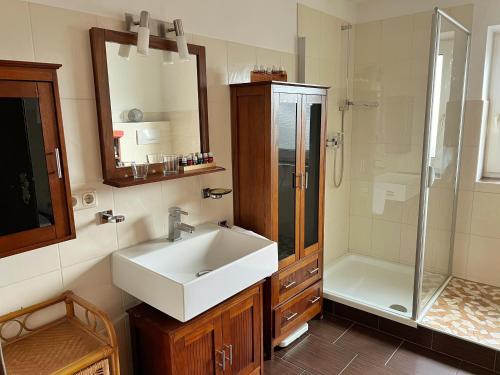 a bathroom with a sink and a shower at Ferienwohnung zum Entspannen in Thalgau