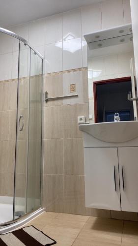 a bathroom with a shower and a sink at 3 Apartments in 1 location in Prague