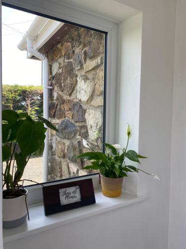 Gambar di galeri bagi Heddfan - Peaceful & Cozy En-suite Room 5 mins from Stunning Llanbedrog Beach di Llanbedrog