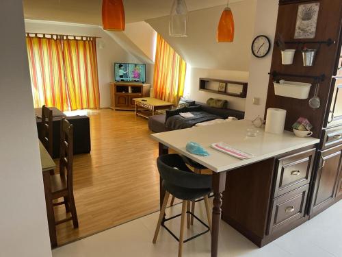 クルジュ・ナポカにあるReb Apartment - Calea Turziiのキッチン、リビングルーム(テーブル、ソファ付)
