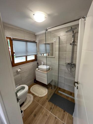 uma casa de banho com um WC e uma cabina de duche em vidro. em Studio apartman Kod Ruže em Tuhelj