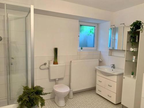 a bathroom with a toilet and a sink at Ruhige Wohnung am Rande des Naturschutzgebietes in Ingelheim am Rhein