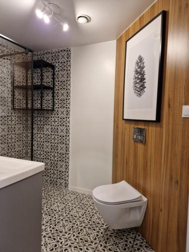 łazienka z toaletą i umywalką w obiekcie Domek Szyszka w Okunince
