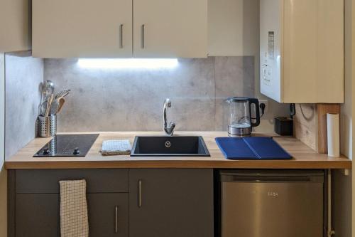 une cuisine avec un évier et un plan de travail dans l'établissement Logement charmant Charpennes, à Villeurbanne