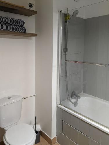 une salle de bain avec toilettes et baignoire dans l'établissement Logement charmant Charpennes, à Villeurbanne
