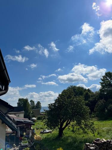 a tree in a field with a blue sky and clouds at Apartament nad Zatoką Pucką in Swarzewo