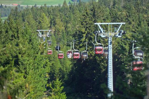 a gondola ride in the middle of a forest at Hotel Kaiseralm in Bischofsgrün