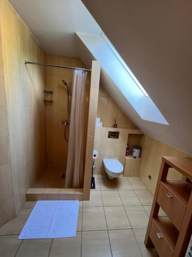 uma casa de banho no sótão com um chuveiro e um WC. em Apartament nad Zatoką Pucką em Władysławowo