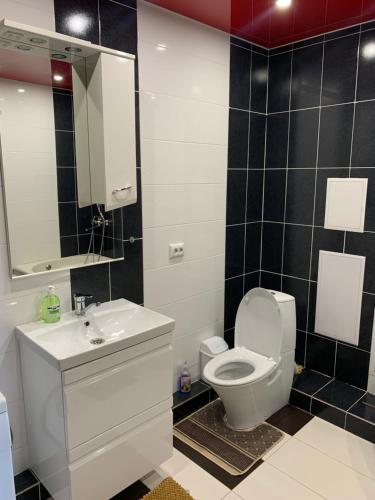 a bathroom with a toilet and a sink and a mirror at APARTMENT PREMIUM VIP in Berdychiv