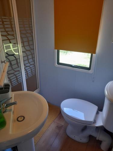 uma casa de banho com um WC branco e um lavatório. em Gilfach em Clynnog-fawr