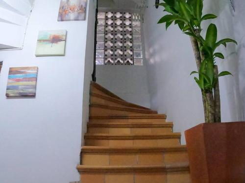 una escalera con una maceta junto a una pared en Fresco Aparta estudio Envigado 101 en Envigado