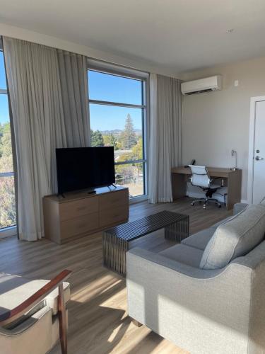 a living room with a couch and a television at Art House Hotel in Santa Rosa