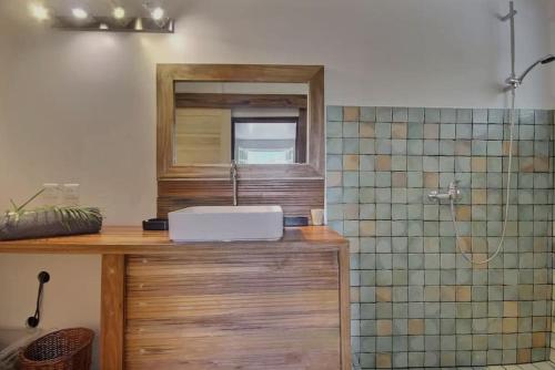 y baño con lavabo y ducha. en Cottage Saudade - Les Terres Basses, en Marigot