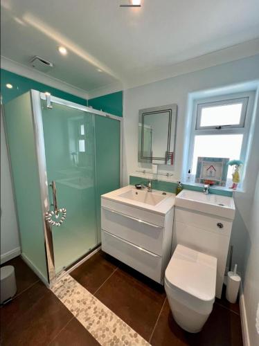 a bathroom with a toilet and a sink and a shower at Seaspot is a 1 bed annex ground floor apartment at stunning Broadsands Beach nr Brixham! in Churston Ferrers