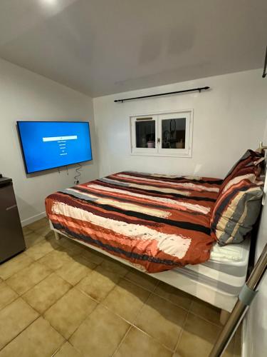 ein Schlafzimmer mit einem großen Bett und einem TV an der Wand in der Unterkunft Appartement mignon in Livry-Gargan