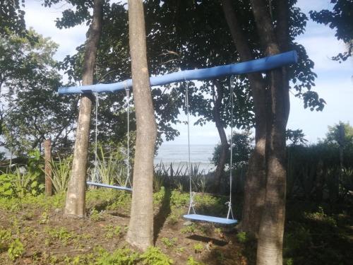 a swing hanging between two trees at La casa del Artesano !Casa completa frente al mar! in Santa Cruz