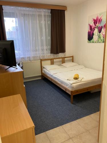ブラチスラヴァにあるTerrace Rooms Rentalの小さなベッドルーム(ベッド1台、テレビ付)