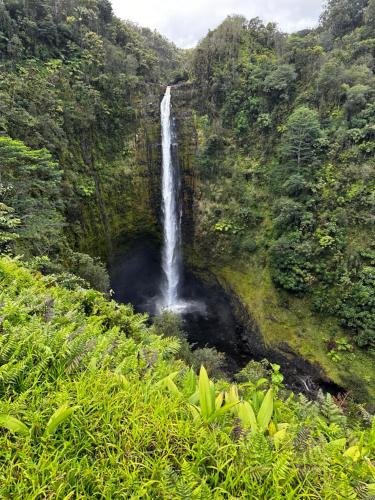 a waterfall on the side of a mountain at Wild Ginger Hotel in Hilo