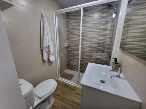 y baño con aseo, lavabo y ducha. en Apartamento La Albariza, en Jerez de la Frontera