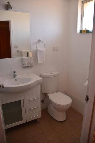 a white bathroom with a toilet and a sink at Best Western Coachman's Inn Motel in Bathurst