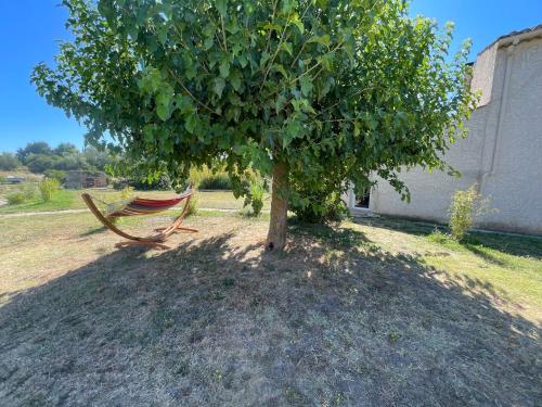 Κήπος έξω από το Sous les étoiles en Provence, gîtes les bambous et les grands chênes