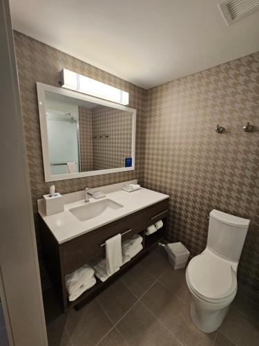 a bathroom with a sink and a toilet and a mirror at Home2 Suites By Hilton Allentown Bethlehem Airport in Bethlehem