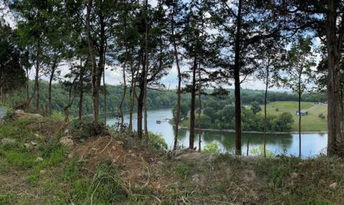 a view of a lake with a bunch of trees at Tube - 04 Lockridge Park in Danville