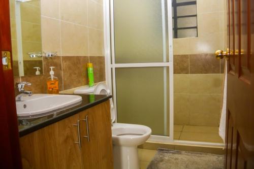 a bathroom with a toilet and a sink and a shower at Jancy Properties in Nairobi