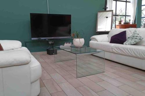 a living room with two white couches and a tv at Loft Condesa in Mexico City