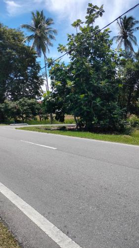 an empty road with palm trees on the side of the road at Rizki Homestay Nibong Tebal in Nibung Tebal