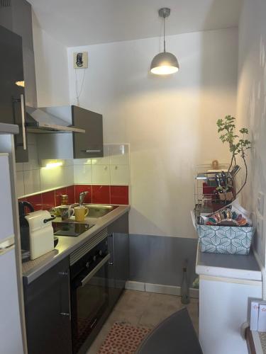 een keuken met een wastafel en een fornuis top oven bij P’tit Cosy St Denis - centre in Saint-Denis