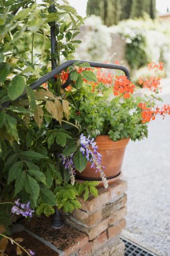 a pot of flowers sitting on top of a brick wall at Villa Delia Hotel and Cooking School in Ripoli