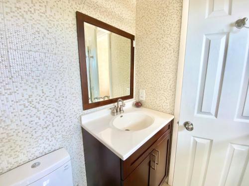 a bathroom with a sink and a mirror at Skyline Suites Grenada in Grand Anse