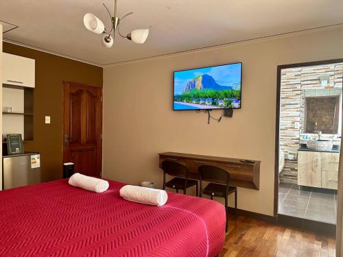 a bedroom with a red bed with a television on the wall at Hotel Esmeralda in La Paz