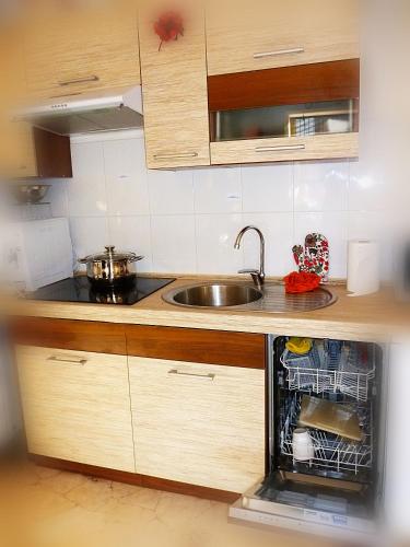 a kitchen with a sink and a dishwasher at Ditton apartment city center in Daugavpils