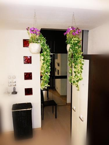 a room with two potted plants on a wall at Ditton apartment city center in Daugavpils