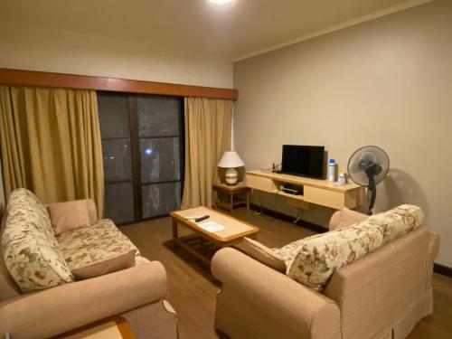 uma sala de estar com dois sofás e uma televisão em COZY HOME COPTHONE RESORT em Brinchang