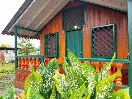 ein rotes und grünes Haus mit einer Pflanze davor in der Unterkunft Cabaña Playa Ladrilleros in Playa Ladrilleros
