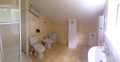 ein Bad mit einem WC, einer Dusche und einem Waschbecken in der Unterkunft Wypoczynek na Kurpiach in Kadzidło