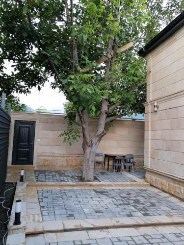 a patio with a tree and a table and chairs at Viva hotel Gabala with outdoor pool ,Sauna and Waterfall in Gabala