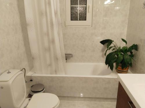 łazienka z toaletą i wanną z rośliną w obiekcie Attika beauty w mieście Keratea