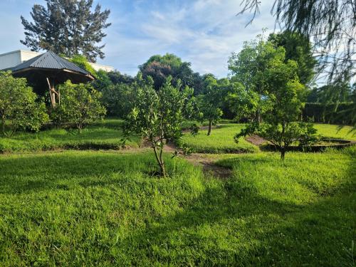 pole trawy z drzewami i budynek w obiekcie Orchard Home Homestay w mieście Mbarara
