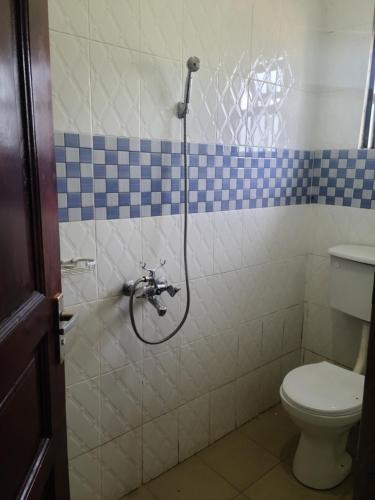 y baño con ducha y aseo. en Orchard Home Homestay, en Mbarara
