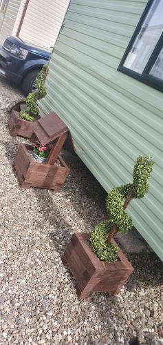 three plants in wooden boxes next to a house at A-Wave From It All in Montrose